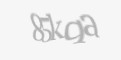 FORM_CAPTCHA