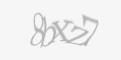 FORM_CAPTCHA